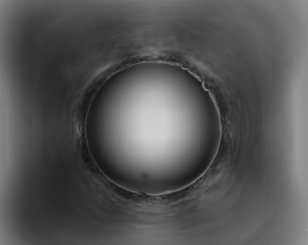 X0000094361206200711162043