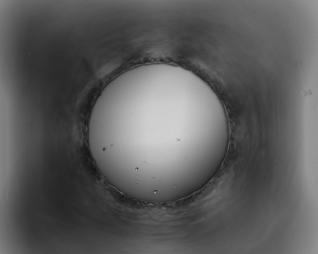 X0000094361207200711162043