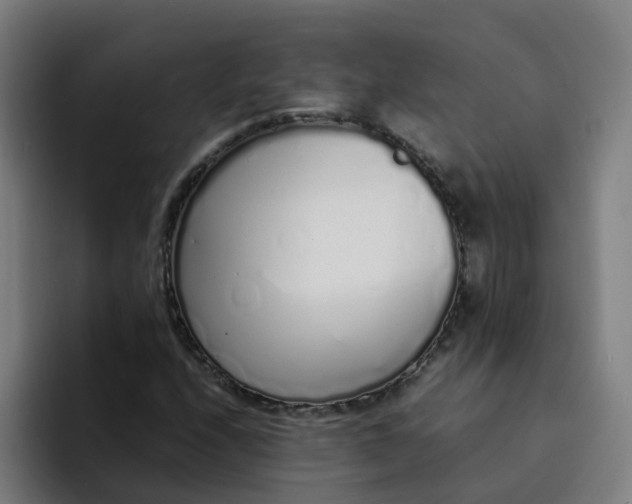 X0000094361208200711162043