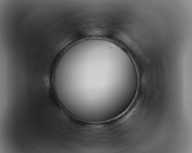 X0000094361209200711162043