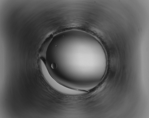 X0000094361210200711162043