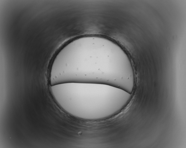 X0000094361212200711162043