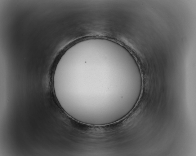 X0000094361215200711162043