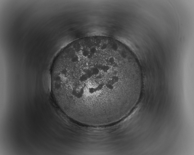 X0000094361219200711162044