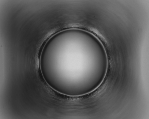 X0000094361221200711162044