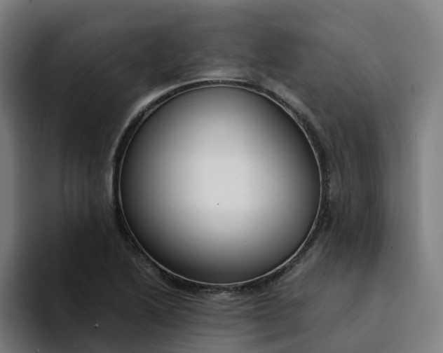 X0000094361222200711162044