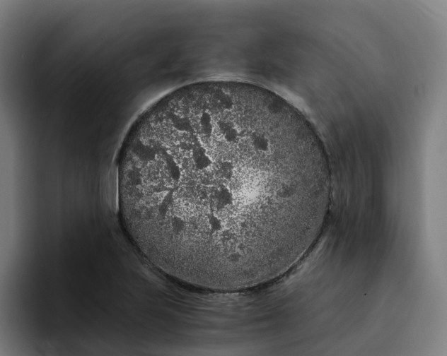 X0000094361223200711162044