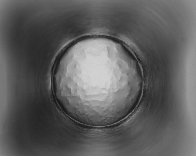 X0000094361224200711162044