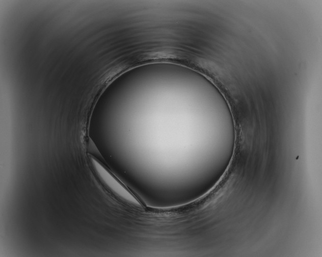 X0000094361225200711162044