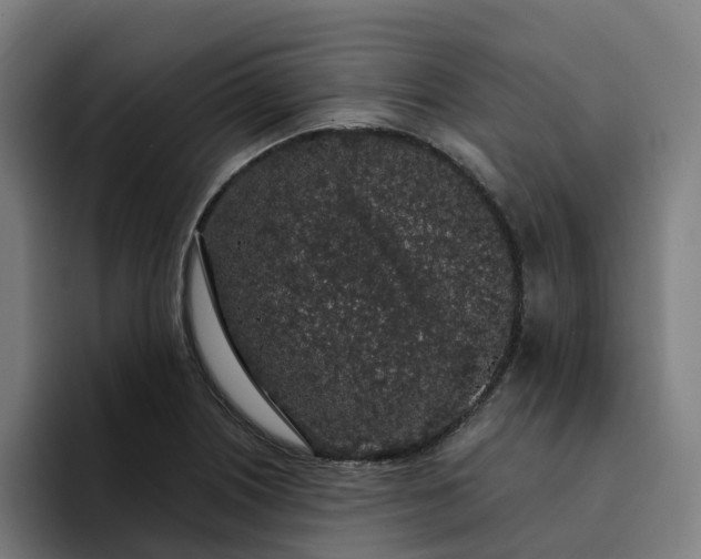 X0000094361226200711162044