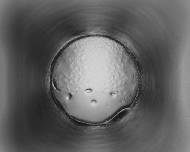 X0000094361228200711162044