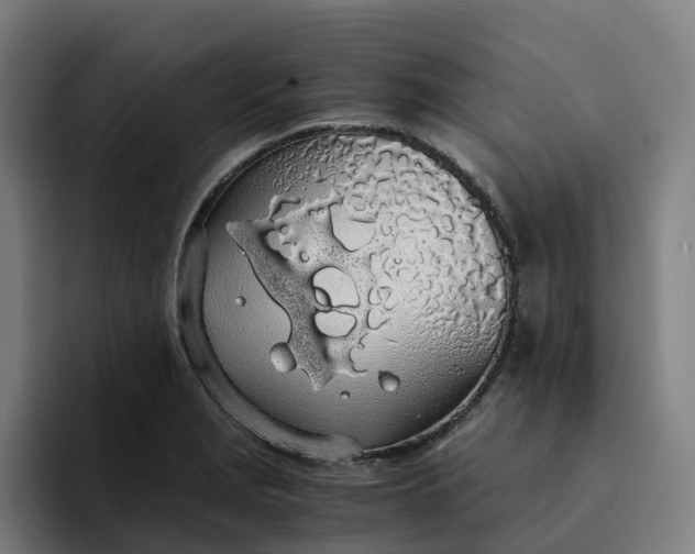 X0000094361229200711162044