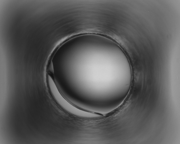 X0000094361230200711162044