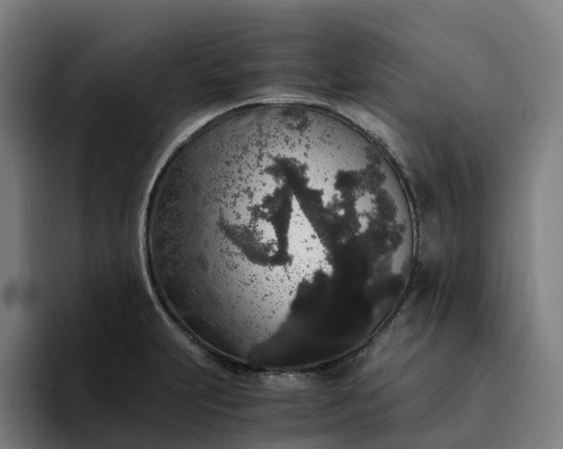 X0000094361231200711162044