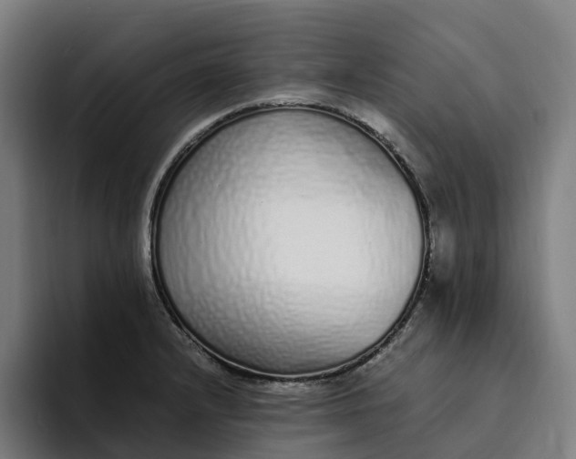 X0000094361232200711162044