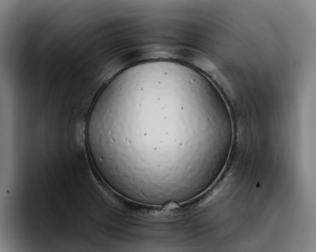 X0000094361233200711162044