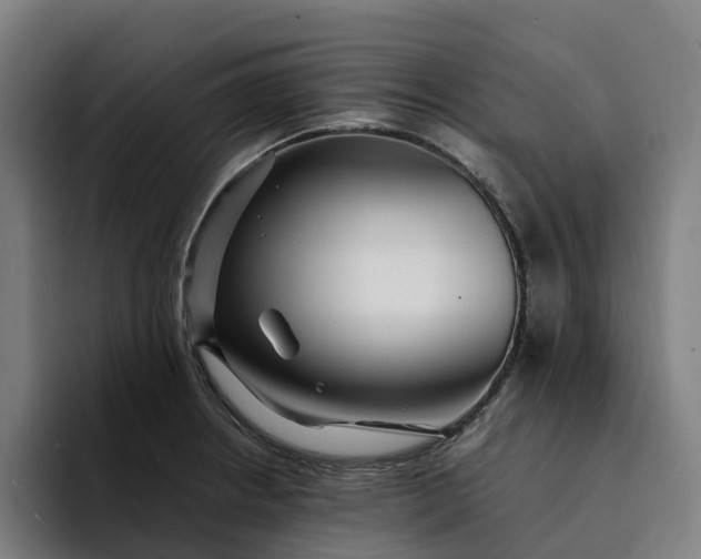 X0000094361234200711162044