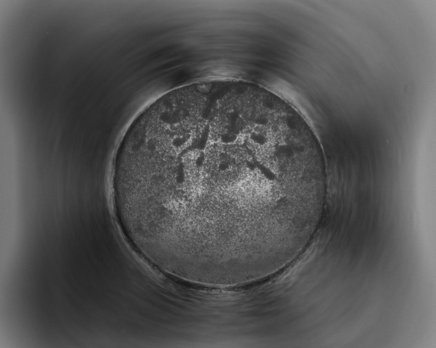 X0000094361235200711162044