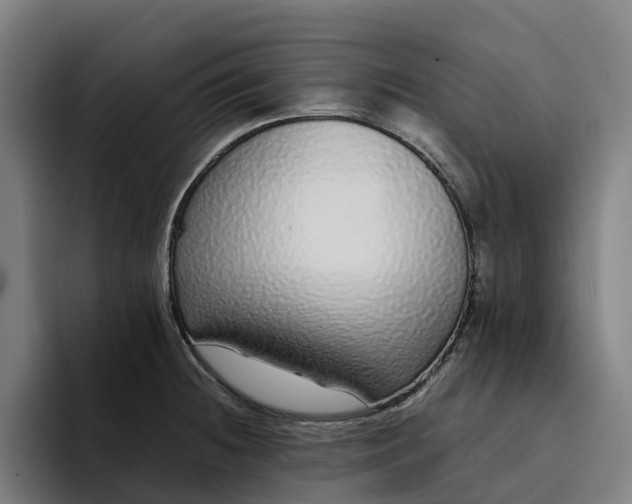 X0000094361236200711162044