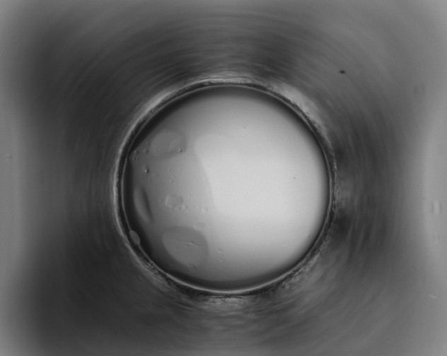 X0000094361237200711162044