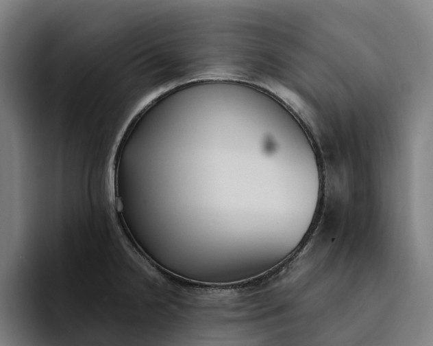 X0000094361238200711162044