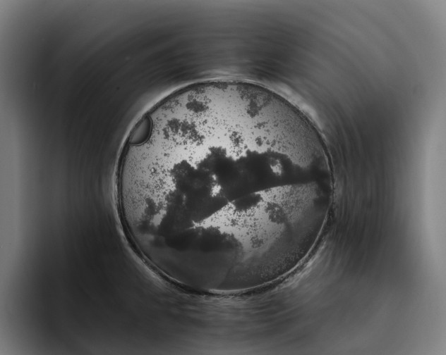 X0000094361239200711162044