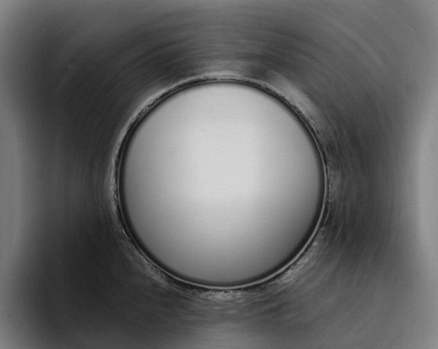 X0000094361240200711162044