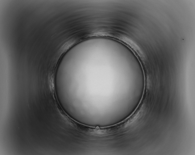 X0000094361241200711162044