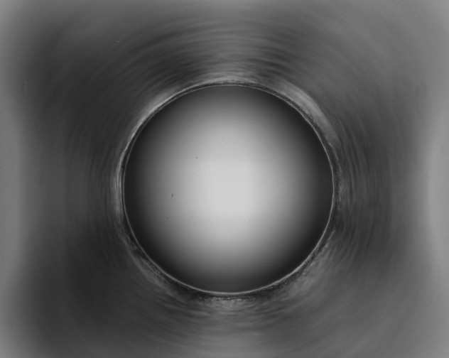 X0000094361242200711162044