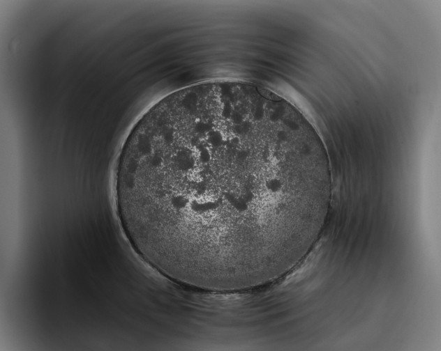 X0000094361243200711162044