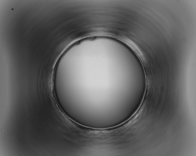 X0000094361244200711162044