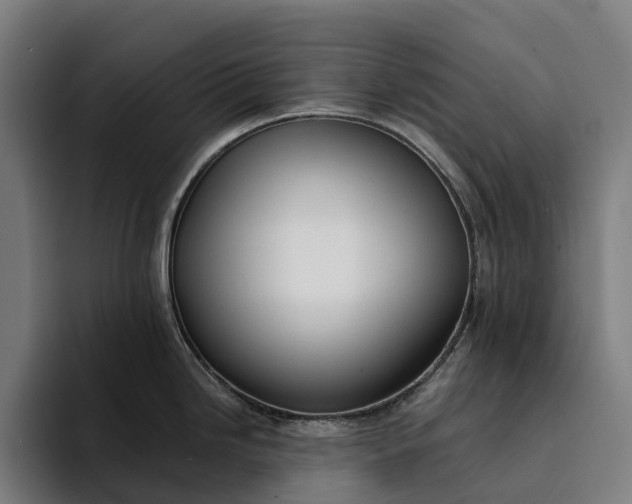 X0000094361246200711162044