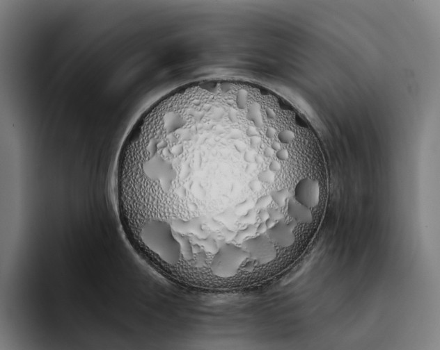 X0000094361247200711162044