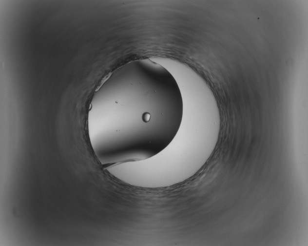 X0000094361249200711162043