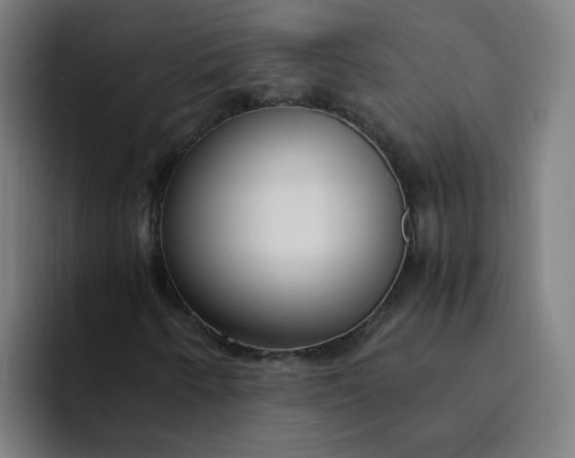 X0000094361250200711162043