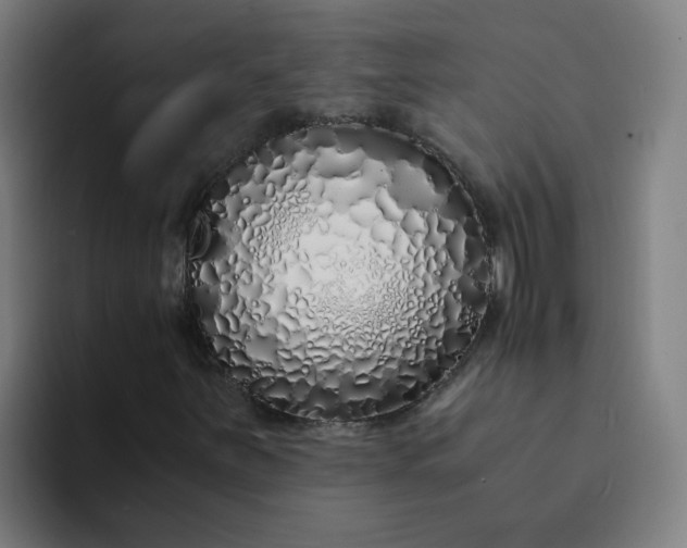 X0000094361251200711162043