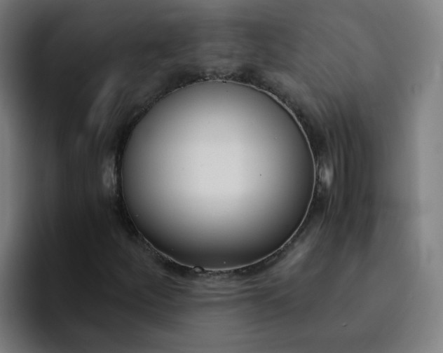 X0000094361252200711162043