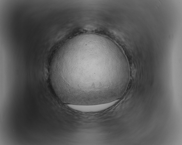 X0000094361253200711162043