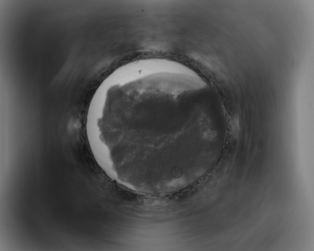 X0000094361254200711162043