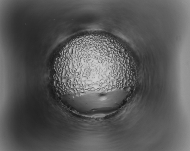 X0000094361255200711162043