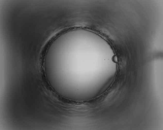 X0000094361256200711162043