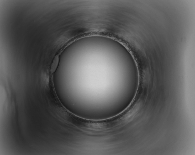 X0000094361257200711162043