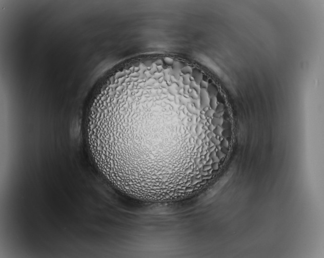 X0000094361259200711162043