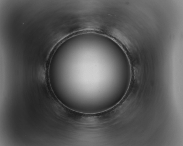 X0000094361260200711162043