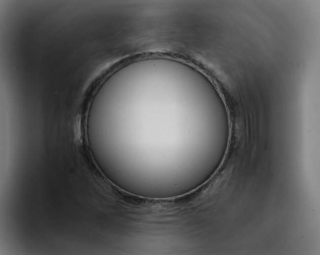 X0000094361262200711162043