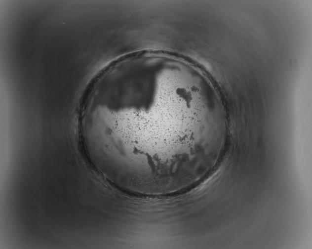 X0000094361263200711162043