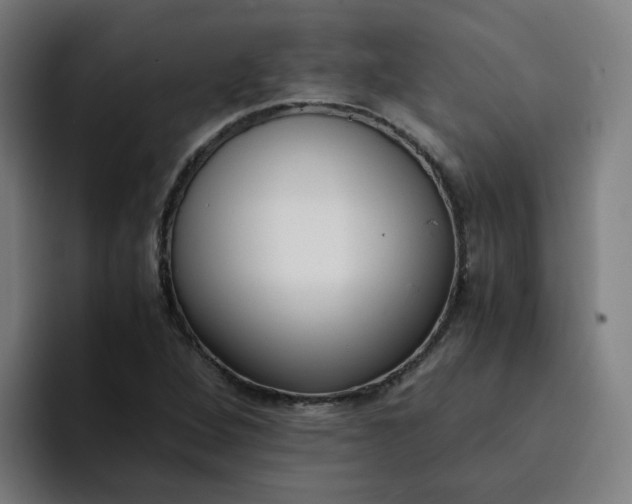 X0000094361264200711162043