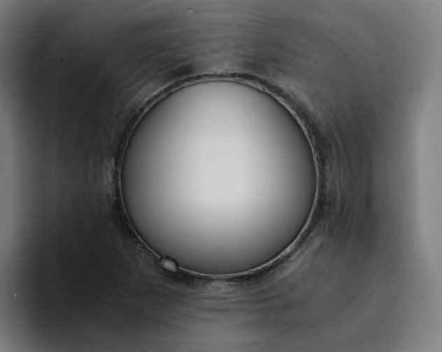 X0000094361265200711162043