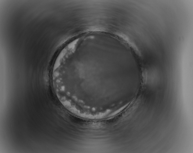 X0000094361266200711162043