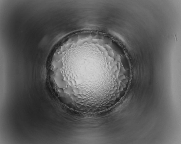 X0000094361267200711162043